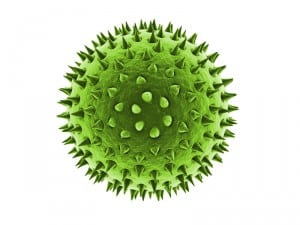 New Air Purification Systems