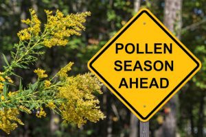 How Air Purification Systems Can Help Your Pollen Allergies