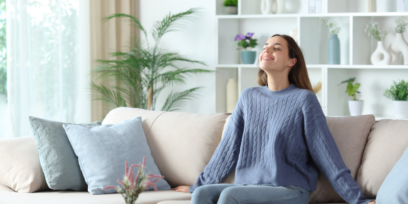 Top Reasons Homeowners Love Indoor Air Purification Systems